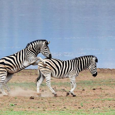 Tented Adventures Пиланесберг Экстерьер фото
